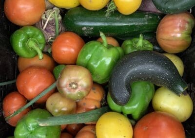 Fresh vegetables in a produce box.
