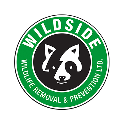 WildsideWildlifeRemoval Prevention_Logo